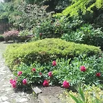Garten Vendeghaz Eger