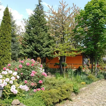 Garten Vendeghaz Eğri