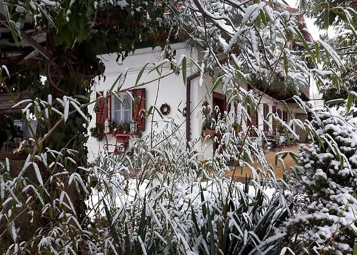 Garten Vendeghaz 3*