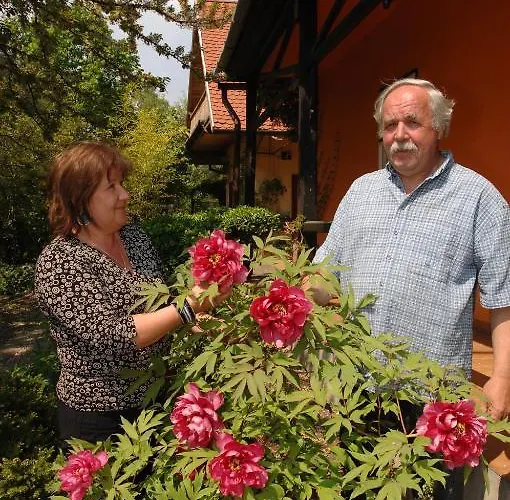 Garten Vendeghaz Guest house Eger