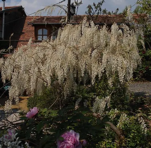 Guest house Garten Vendeghaz 3*