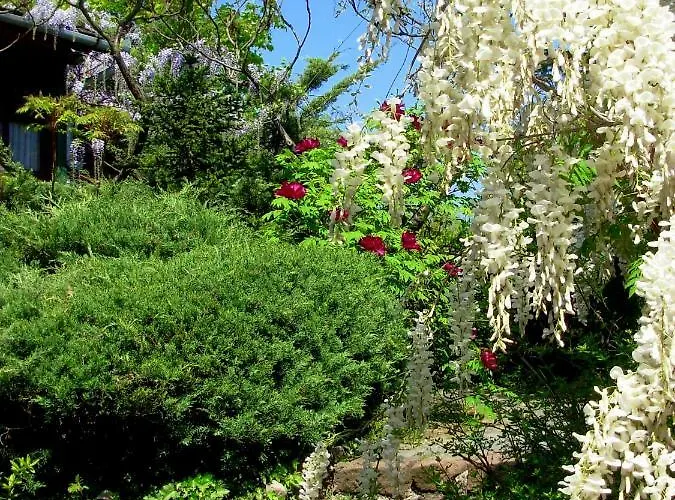 Guest house Garten Vendeghaz