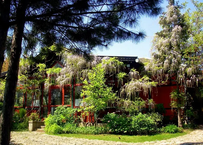 Garten Vendeghaz