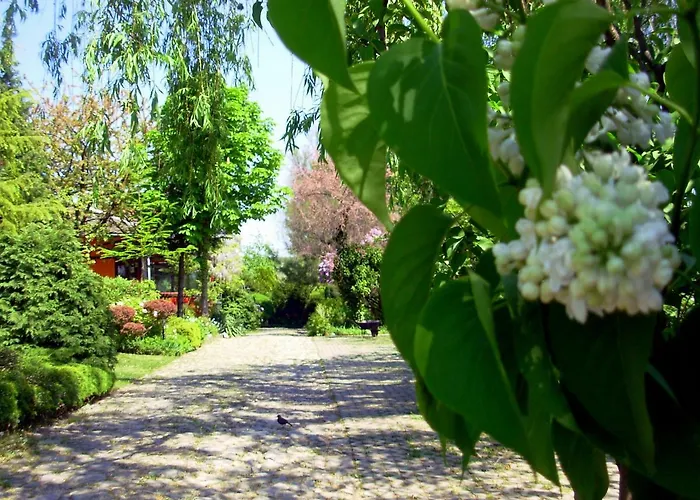Garten Vendeghaz Guest house