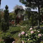 Garten Vendeghaz Eger