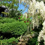 Guest house Garten Vendeghaz