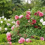 Garten Vendeghaz Penzion
