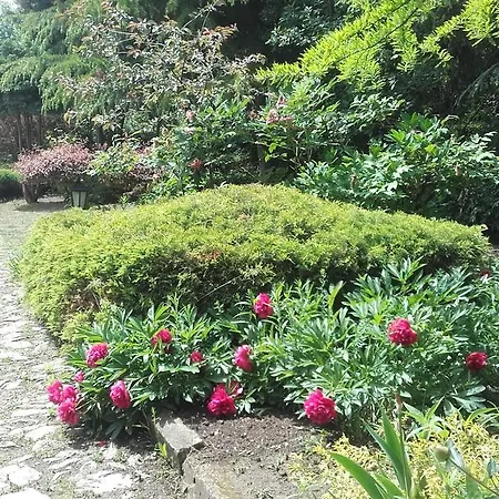 Garten Vendeghaz Eger