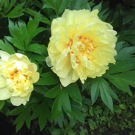 Guest house Garten Vendeghaz Eger