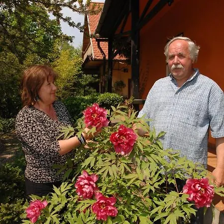 Garten Vendeghaz Gæstehus Eger