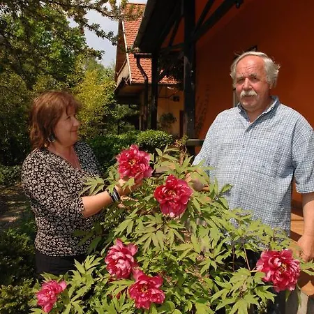 Garten Vendeghaz Guest house Eger