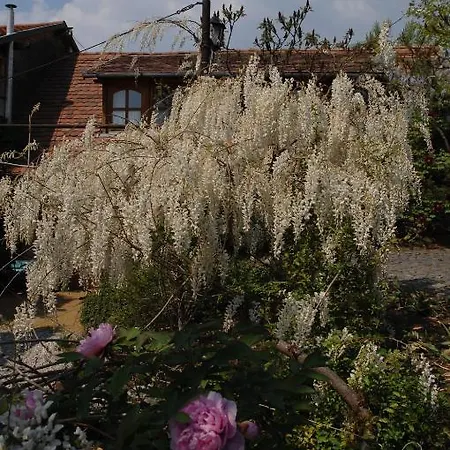 Guest house Garten Vendeghaz *