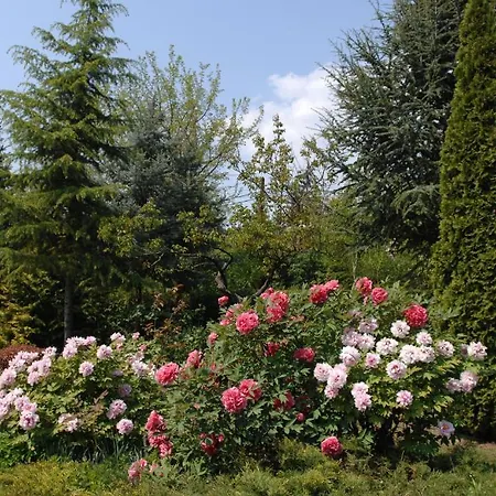 Garten Vendeghaz Gæstehus 3*