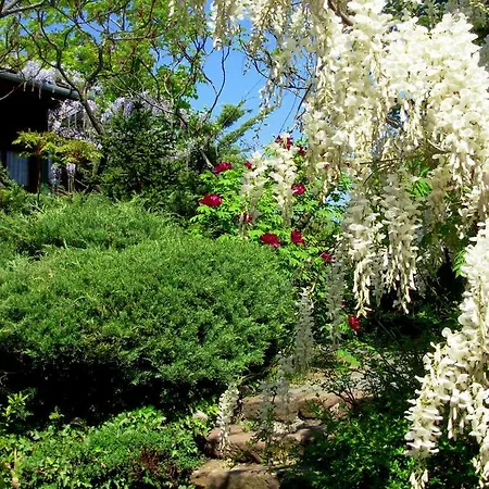 Gæstehus Garten Vendeghaz