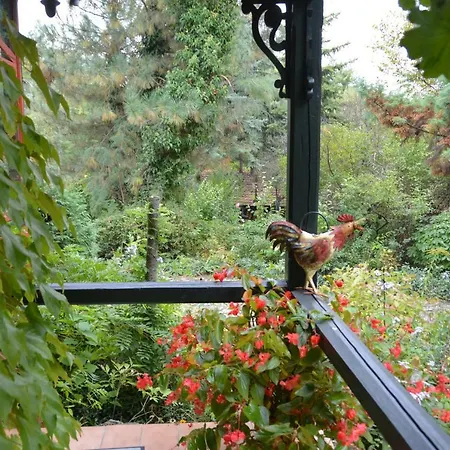 Garten Vendeghaz Gæstehus